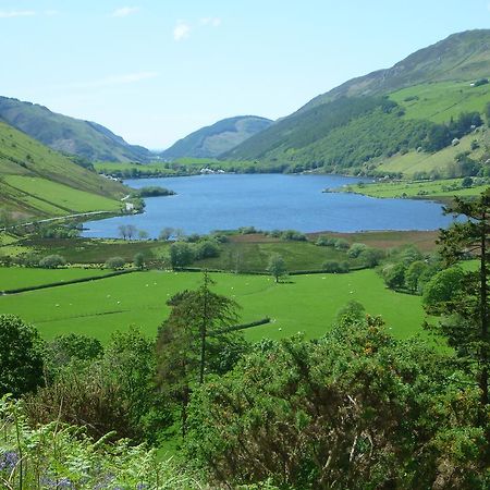 Готель Dolffanog Fawr Tal-y-llyn Екстер'єр фото