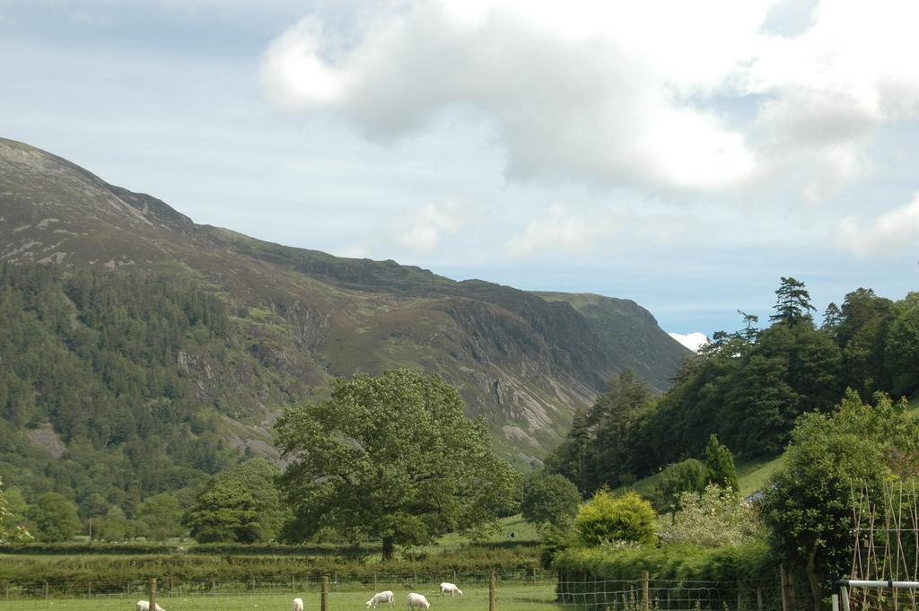 Готель Dolffanog Fawr Tal-y-llyn Екстер'єр фото